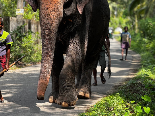 Charli Tours-亚洪加拉必去景点