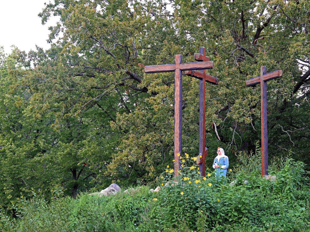 Temple of The Holy Martyr Aleksey-彼得霍夫必去景点