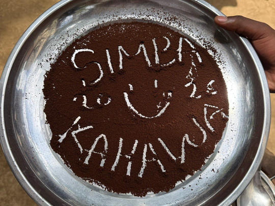 Mangalia Waterfalls-阿鲁沙必去景点