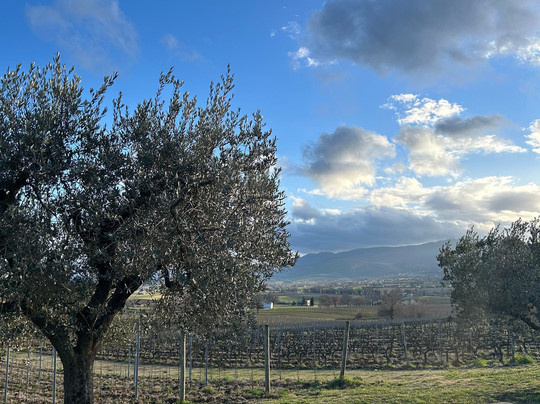 Azienda Agraria Perticaia-Montefalco必去景点