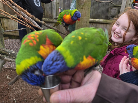 Wild Zoological Park-Bobbington必去景点