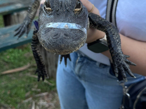 Jungle Adventures A Real Florida Animal Park-Christmas必去景点