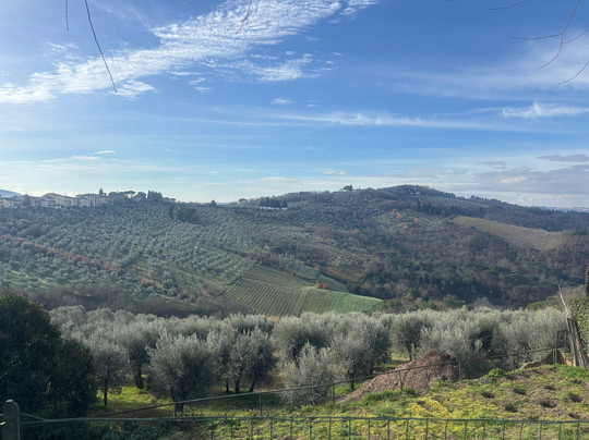 Diadema Wine & Evo-因普鲁内塔必去景点