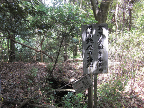Numazu Alps Mountains-沼津市必去景点
