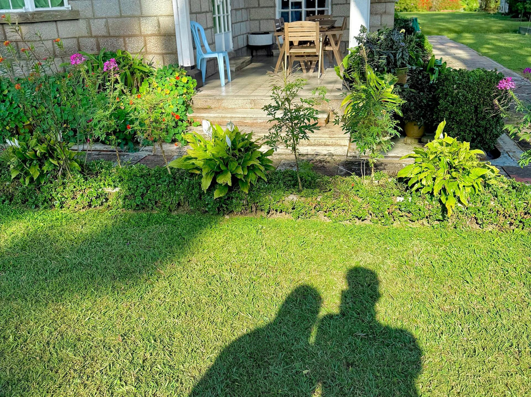 金马仑高原德拉菲儿斯酒店主图