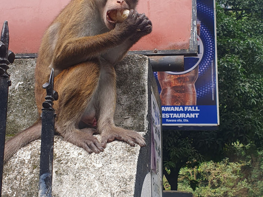 Pk Tours By Kuma-因都鲁瓦必去景点