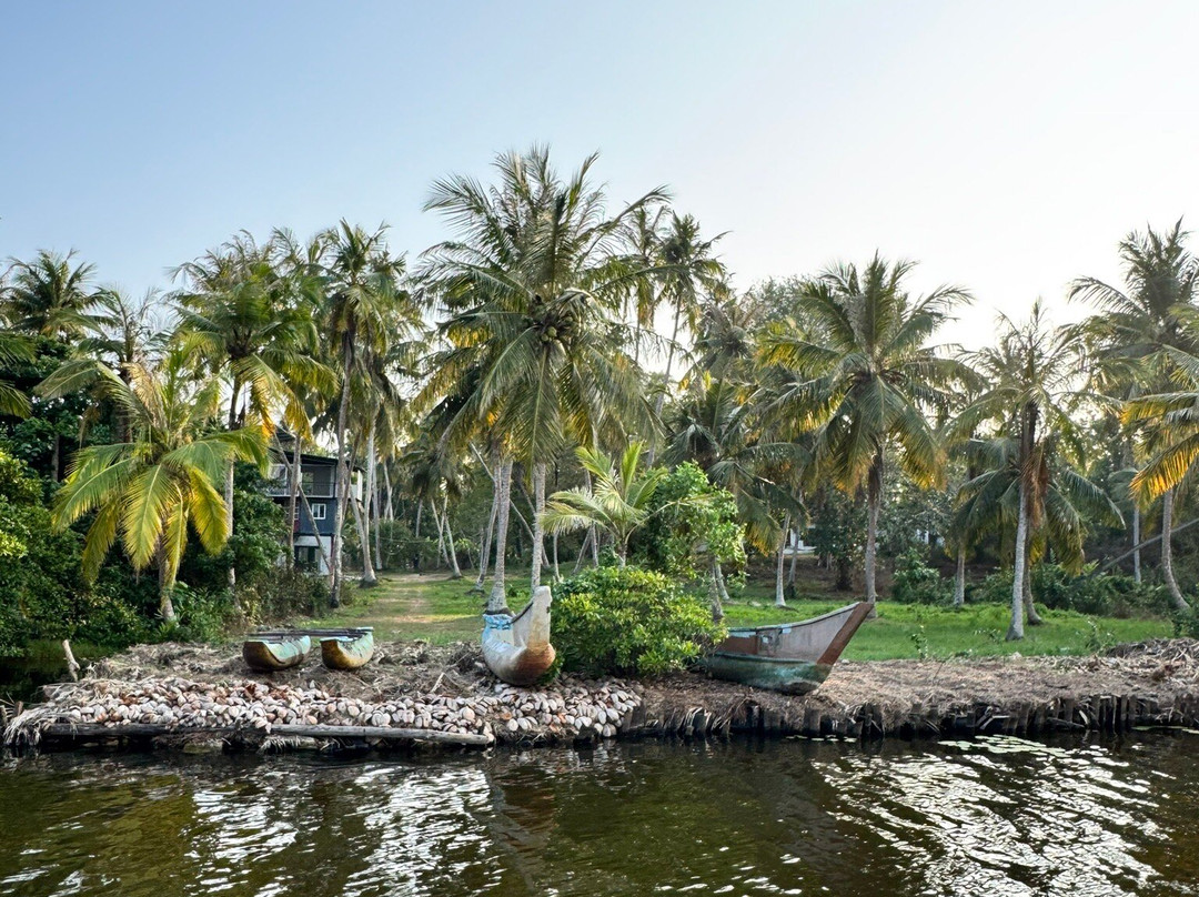 Mirissa Eco Lagoon Safari-美蕊沙必去景点