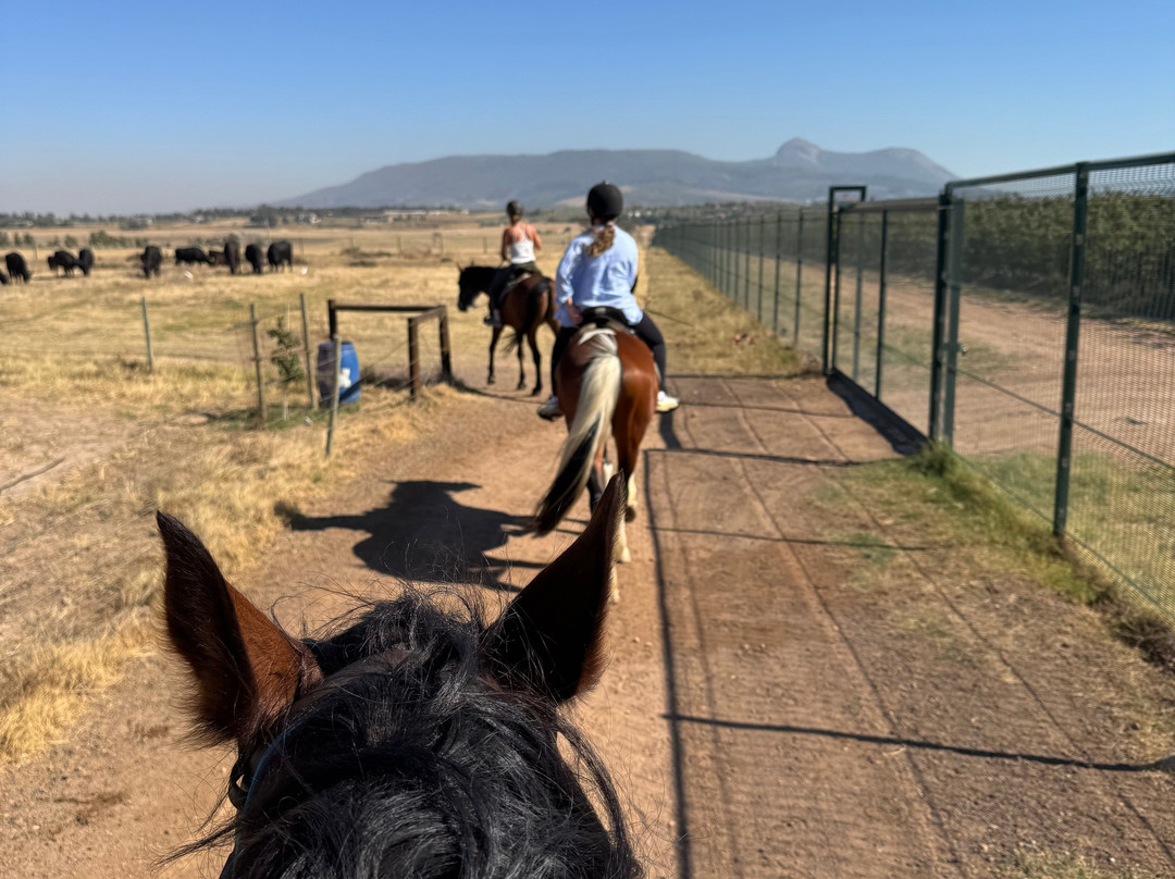 Cape Winelands Riding-Simondium必去景点