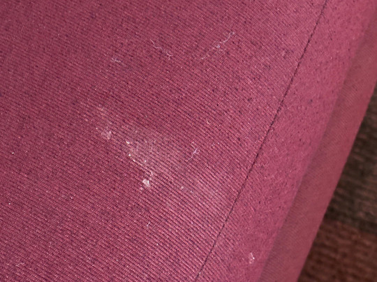 Hampton Inn Egg Harbor Township Atlantic City主图