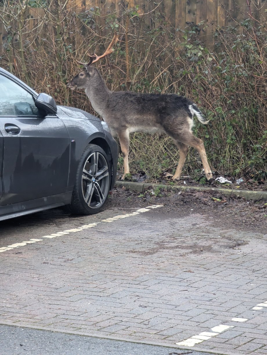 Travelodge Plymouth Roborough-浴室