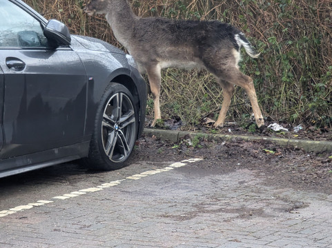 Travelodge Plymouth Roborough主图