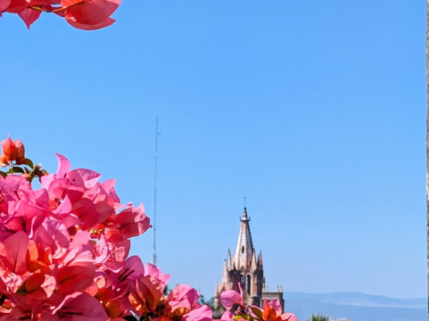 Museo La Esquina-圣米格尔护城必去景点