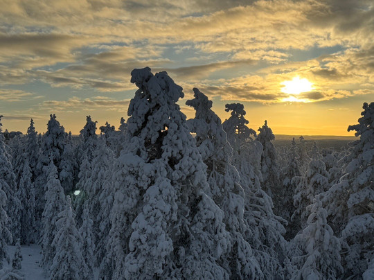 Ounasvaara Winter Trail-罗瓦涅米必去景点