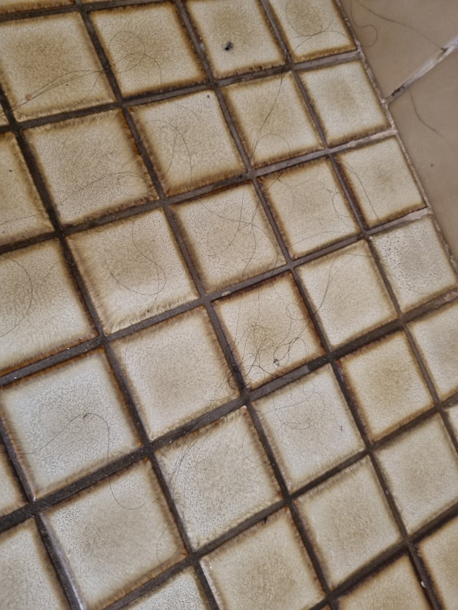 坎伯兰汽车旅馆-官方