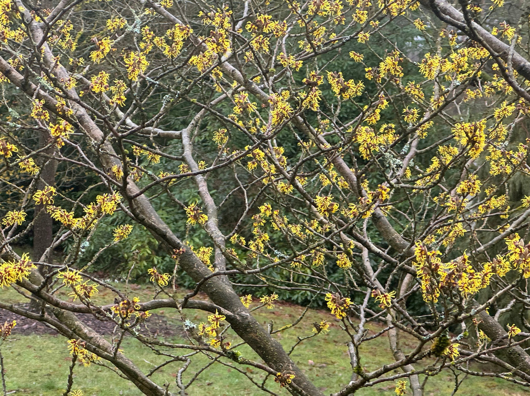 Markshall Estate-科尔切斯特必去景点