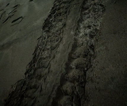 Iguana Surf-塔马林多必去景点