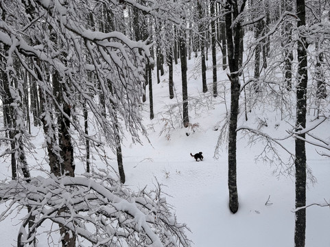 Terminillo Trekking 360-Monte Terminillo必去景点