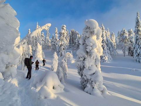 Seven Fells Up-Akaslompolo必去景点