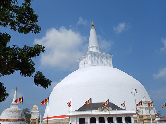 Sri Infinity Tours-贝卢瓦拉必去景点