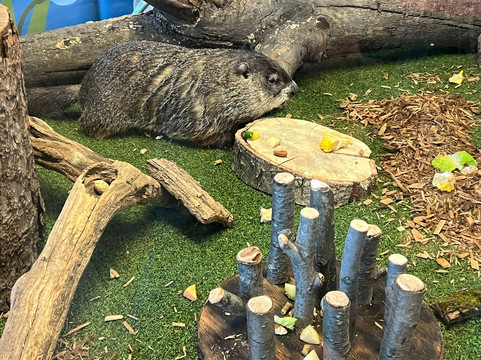 Turtle Back Zoo-西奥兰治必去景点