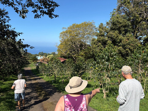 Rancho Aloha-哈陆亚洛亚必去景点