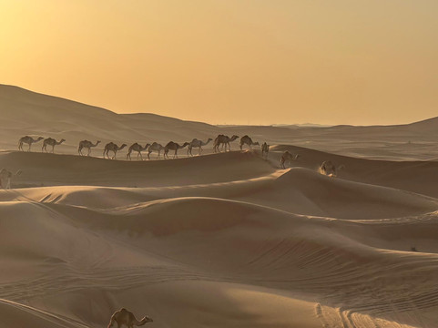 Eagle Tours Dubai-迪拜必去景点