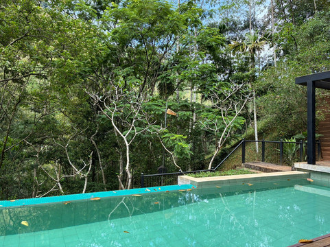 The Weir House主图