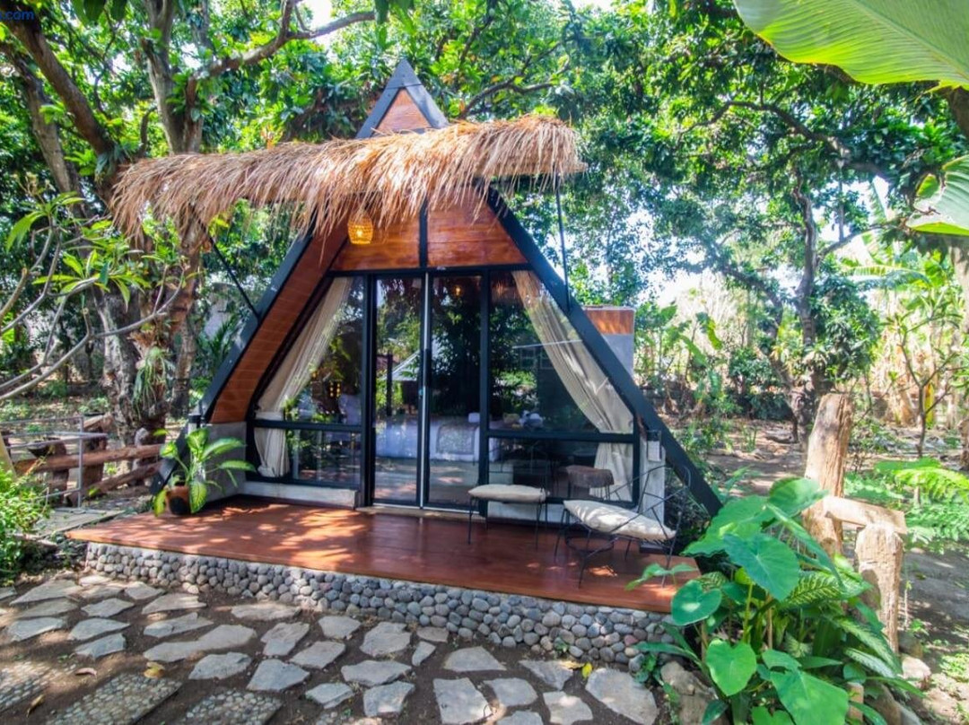 MangoForest Bali