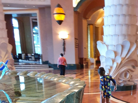 棕榈岛亚特兰蒂斯酒店主图