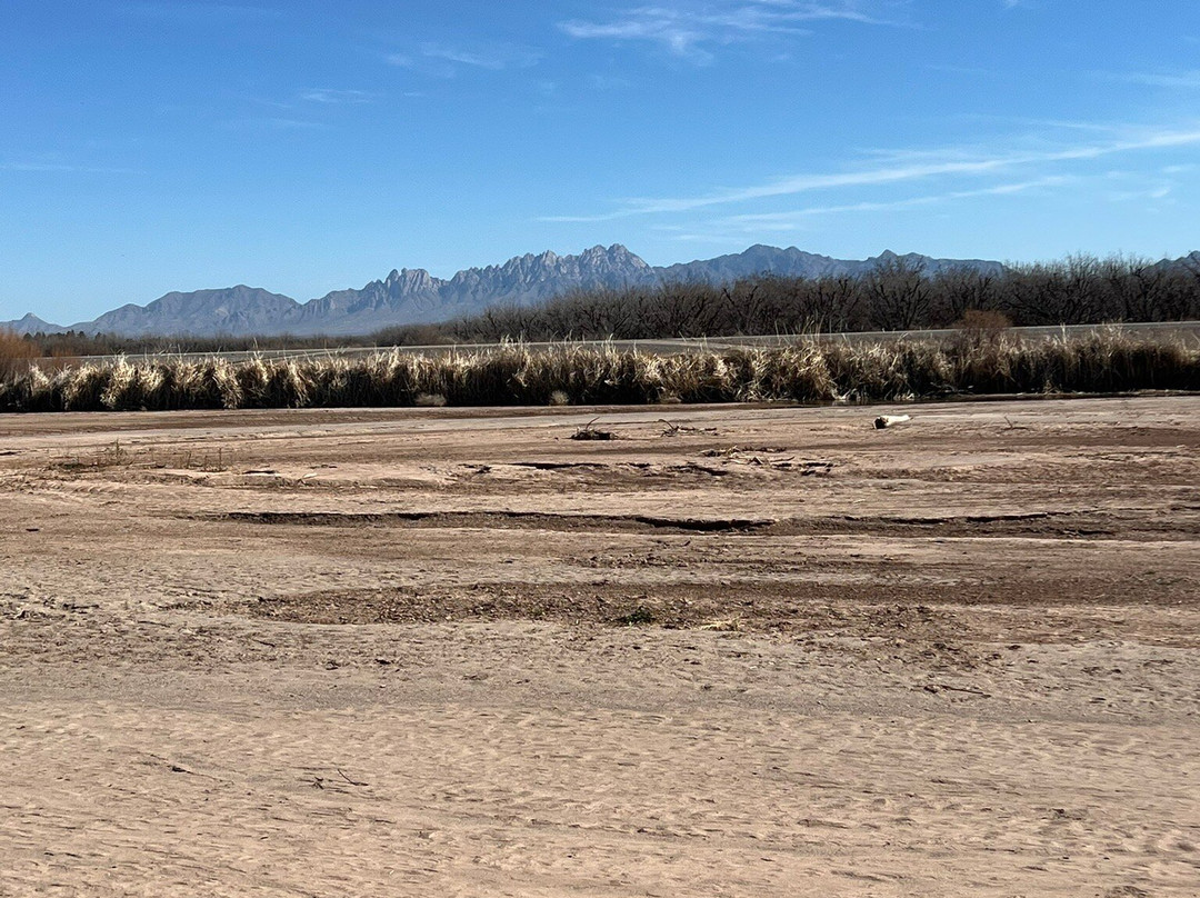 Mesilla Valley Bosque State Park-Mesilla必去景点