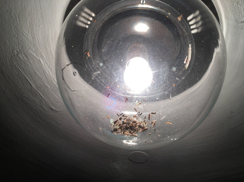 赫瓦尔塞丽娜酒店