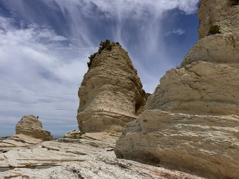 凯库拉毛皮海狮聚集区-Kaikoura必去景点