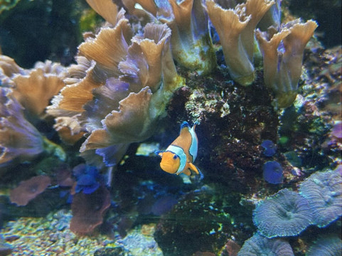 Centro Ciência Viva do Algarve-法罗必去景点