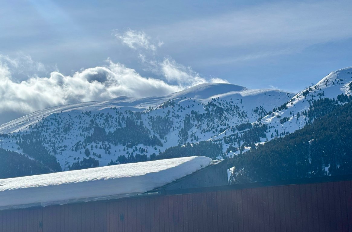 阿莫雷特斯酒店-官方