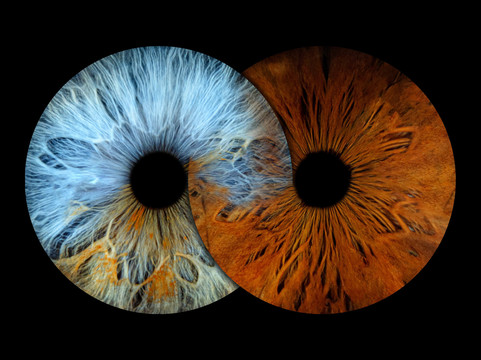 Iris Galerie Maastricht