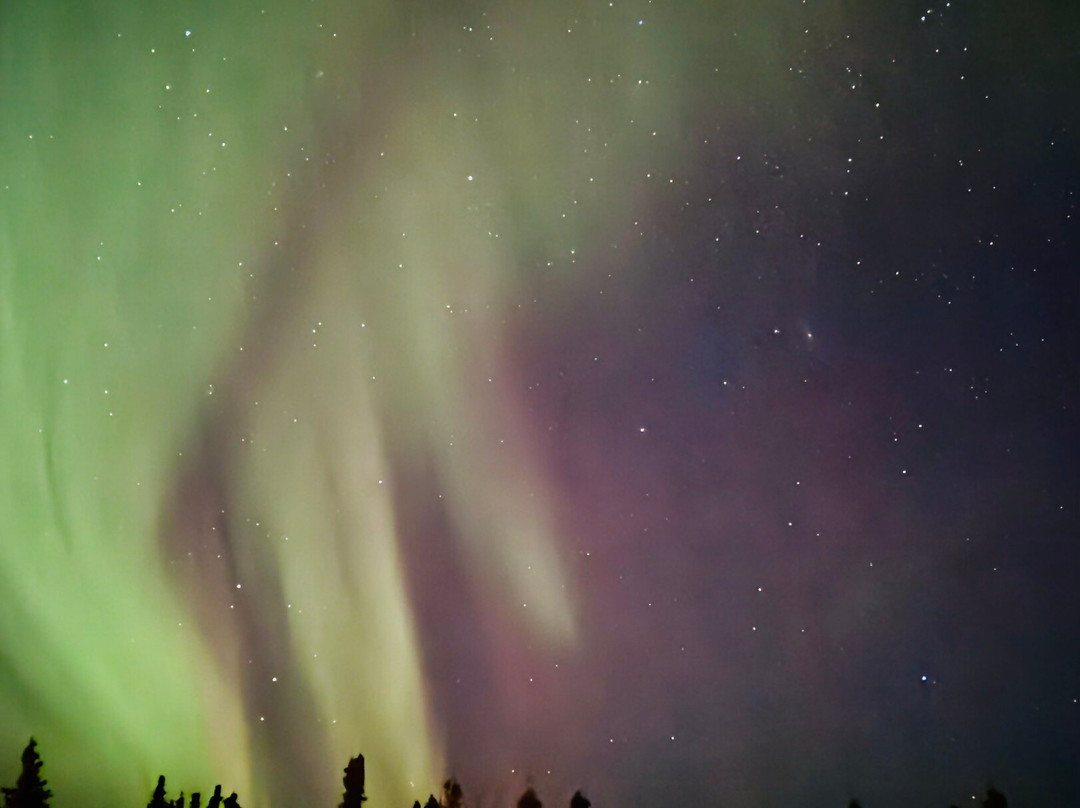 阿拉斯加野生景观之旅-北极必去景点