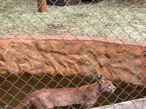 Bio Park-博尼图必去景点