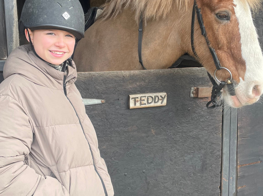 Aberconwy Equestrian Centre-Llandudno Junction必去景点