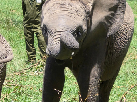 Wild Is Life-哈拉雷必去景点