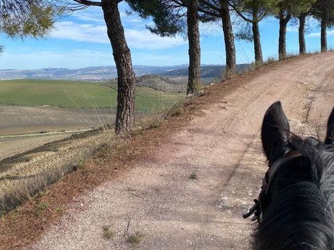 Caballos y Vino-隆达必去景点