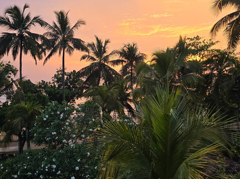 Travelling Pearl Lanka-尼甘布必去景点