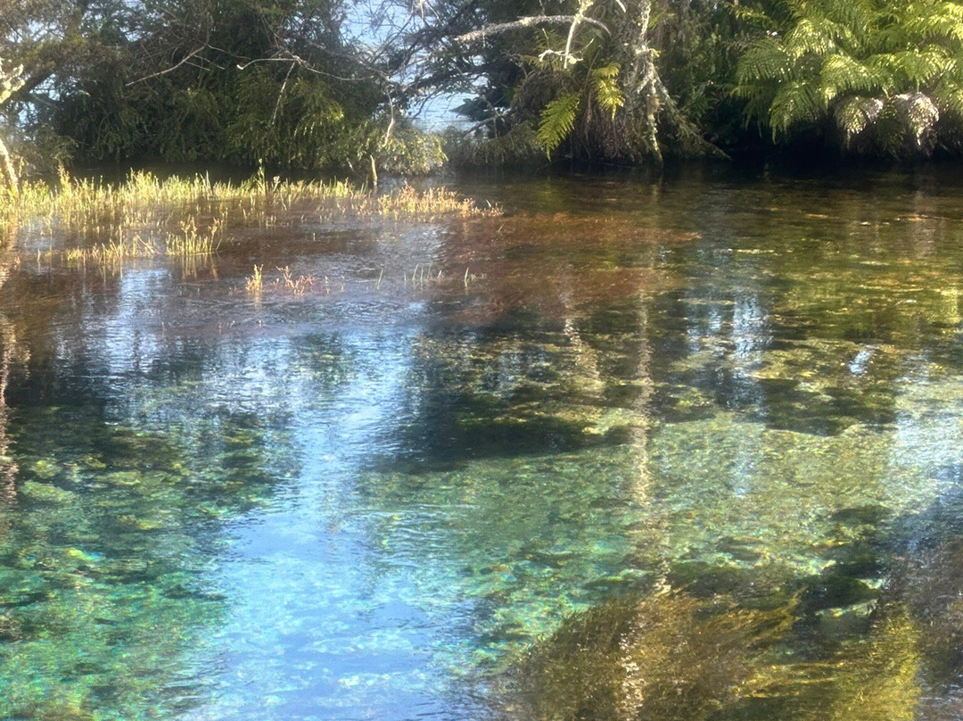 Te Waikoropupu Springs (Pupu Springs)-南岛必去景点