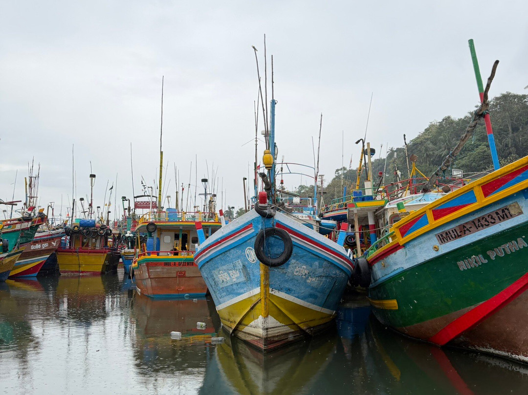 One & Only Travels-Kurunegala必去景点