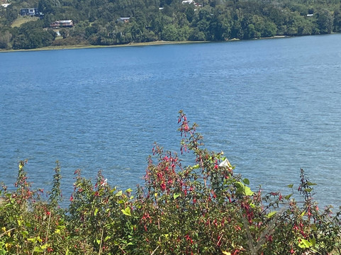 Isla Aucar-Quemchi必去景点