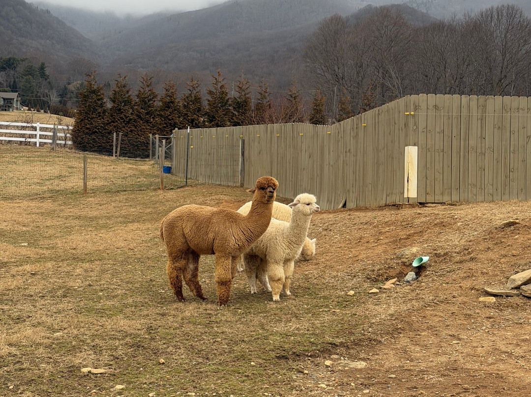 Winchester Creek Farm-韦恩斯维尔必去景点