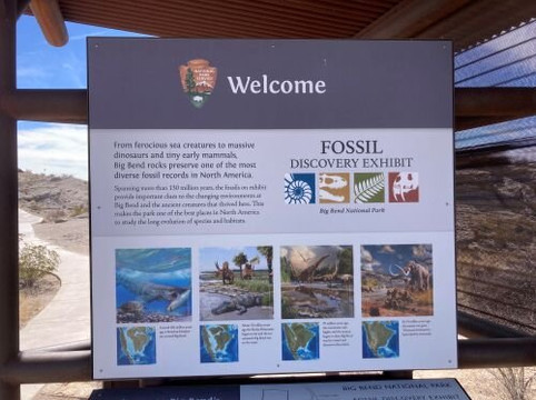 Big Bend National Park - Fossil Bone Exhibit-大弯国家公园必去景点
