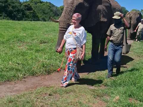 Elephant Sanctuary The Crags-The Crags必去景点