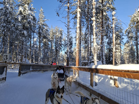 Arctic Circle Husky Park-罗瓦涅米必去景点