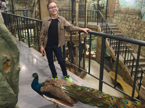 Touching Zoo Bely Kenguru-莫斯科必去景点