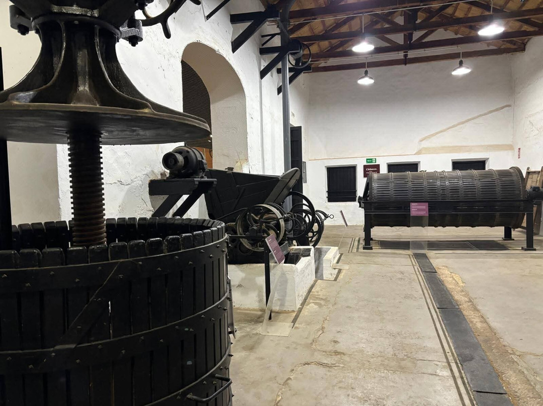 Museo del Vino-Valdepenas必去景点